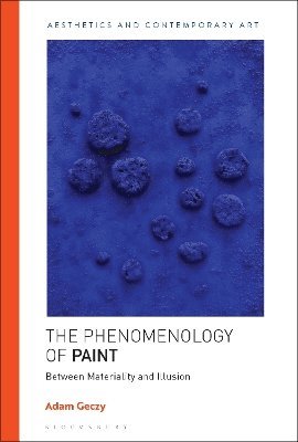 bokomslag The Phenomenology of Paint