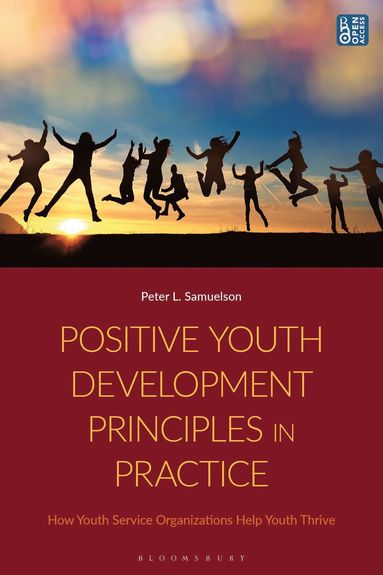 bokomslag Positive Youth Development Principles in Practice