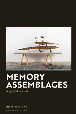 Memory Assemblages 1