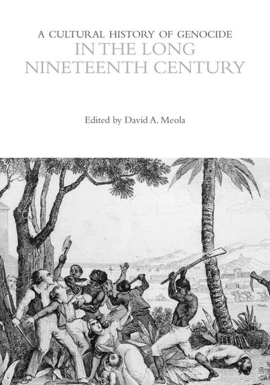 David Meola - Cultural History of Genocide in the Long Nineteenth Century, Häftad