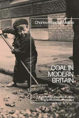 bokomslag Coal in Modern Britain