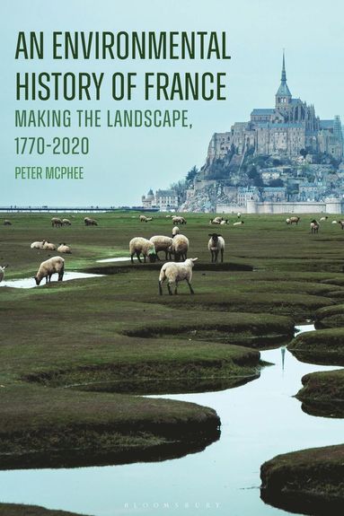 bokomslag Environmental History of France
