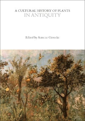 bokomslag A Cultural History of Plants in Antiquity