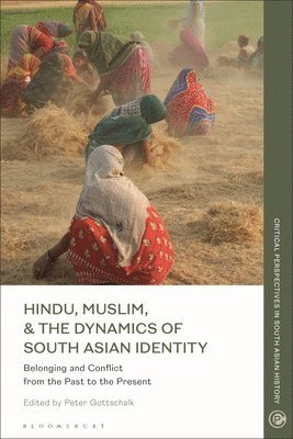 bokomslag Hindu, Muslim, & the Dynamics of South Asian Identity