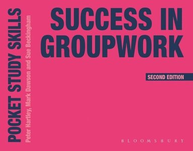 bokomslag Success in Groupwork