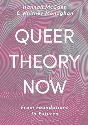 bokomslag Queer Theory Now