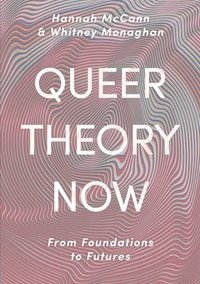 bokomslag Queer Theory Now