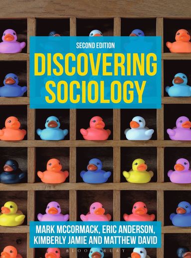 bokomslag Discovering Sociology