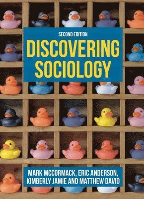 Discovering Sociology 1