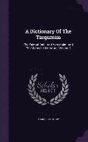 bokomslag A Dictionary of the Targumim