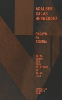 bokomslag Ensayo en Sombra