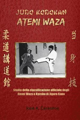 bokomslag Judo Kodokan