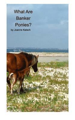 bokomslag What Are Banker Ponies?
