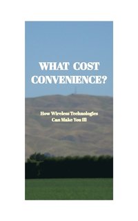 bokomslag What Cost Convenience?