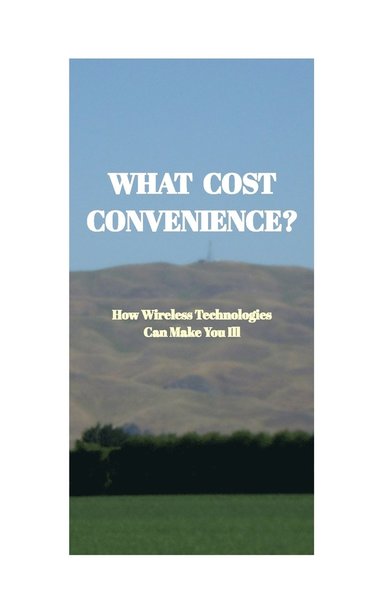 bokomslag What Cost Convenience?