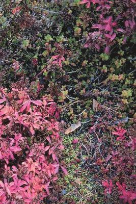 bokomslag Autumn Ground III - Sweden - Photo Art Notebooks (6 x 9 series)