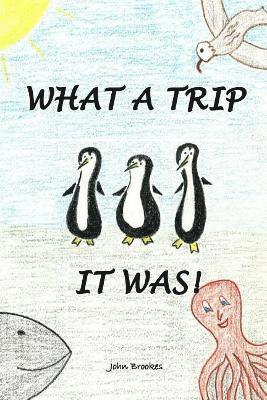 bokomslag What A Trip It Was
