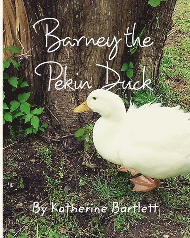 bokomslag Barney the Pekin Duck