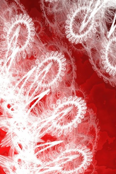 bokomslag LETTERS TO MYSELF JOURNAL - White Lace on Red Metal