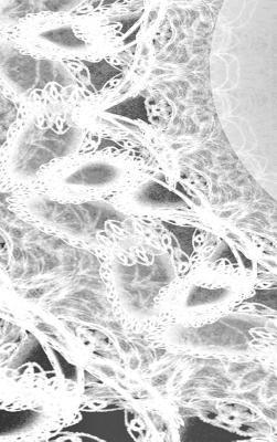 bokomslag LETTERS To MYSELF JOURNAL - Black and White Wedding Lace