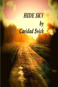 bokomslag Hide Sky