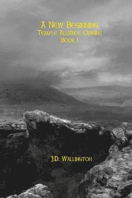 bokomslag New Beginning (Temple Alliance Origins, Book I)