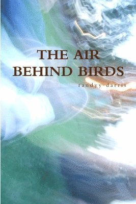 The Air Behind Birds 1