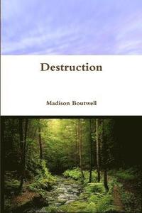bokomslag Destruction