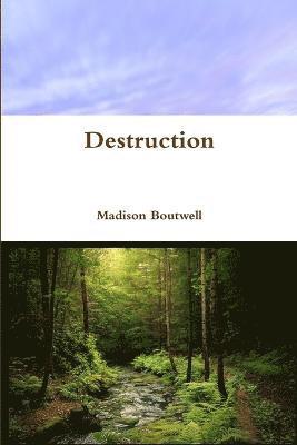 bokomslag Destruction