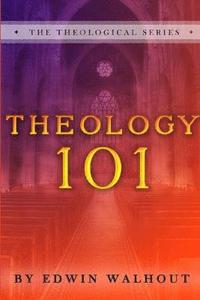 bokomslag Theology 101