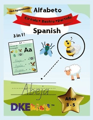 bokomslag Little Intellect Thinkers Alfabeto Español Fácil y divertido aprendizaje Siglos 3-5