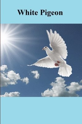 Frank Sutter - White Pigeon, Häftad