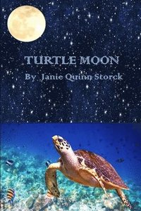 bokomslag Turtle Moon