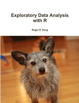 bokomslag Exploratory Data Analysis with R