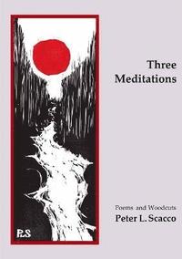 bokomslag Three Meditations