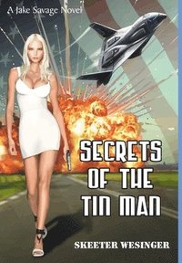 bokomslag Secrets of the Tin Man