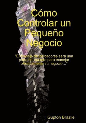 bokomslag Como Controlar Un Pequeno Negocio