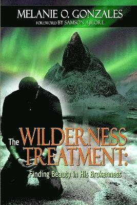 bokomslag Wilderness Treatment: Finding Beauty in His Brokenness