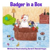 bokomslag Badger in a Box