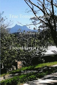 bokomslag True Tomewin Tales