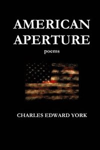 bokomslag American Aperture: Poems