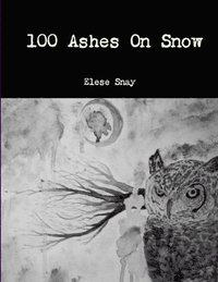 bokomslag 100 Ashes on Snow