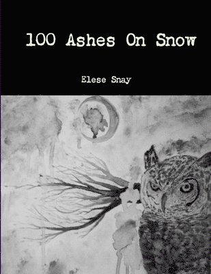 100 Ashes on Snow 1