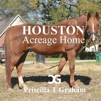 bokomslag Houston Acreage Home