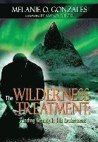 bokomslag Wilderness Treatment: Finding Beauty in His Brokenness