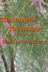 bokomslag Hospital & The Assault