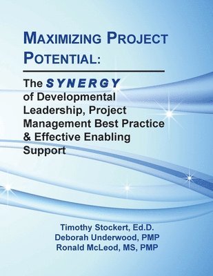 Maximizing Project Potential 1