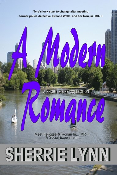 bokomslag Modern Romance Short Stories