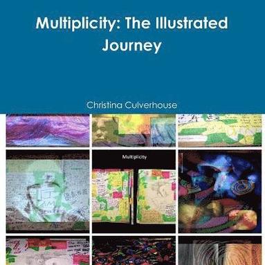 bokomslag Multiplicity: the Illustrated Journey