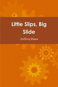 bokomslag Little Slips, Big Slide